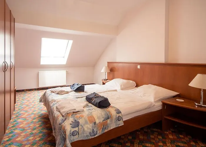 Terme Olimia - Rosa 4*